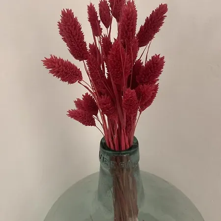 Apartmán Vut Centro Ciudad *