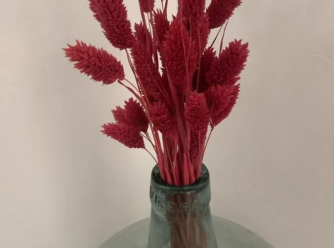 شقة Vut Centro Ciudad *